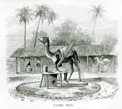 Camel Mill, from 